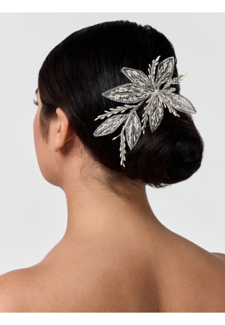 Poirier Peigne cheveux BB-75024 doré ()