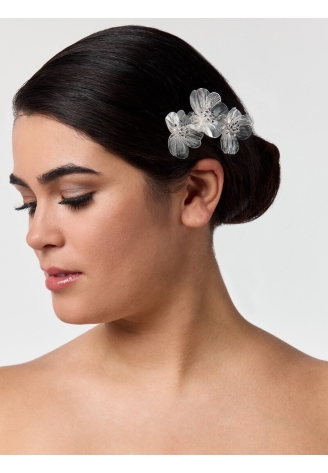 Poirier Peigne cheveux BB-75025 ()