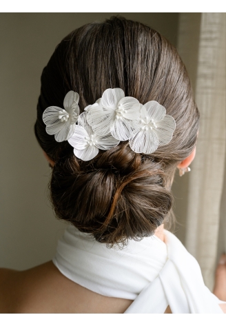 G. Westerleigh HC0416S Peigne à cheveux ()