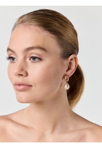 Poirier Boucles d'oreilles JE-75231 Argenté ()