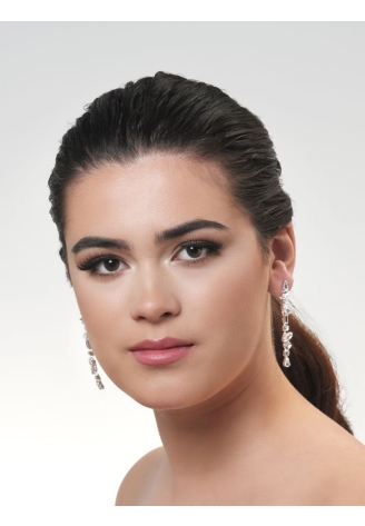 Poirier NC-1333 Boucles d'oreilles Argent ()