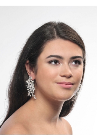 Poirier NC-1323 Boucles d'Oreilles Argent ()