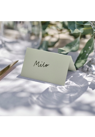 Ginger Ray SW-844 Sage Wedding Marque Places ()
