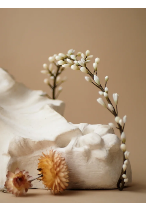 Lizeron Léo Tiara Blanche