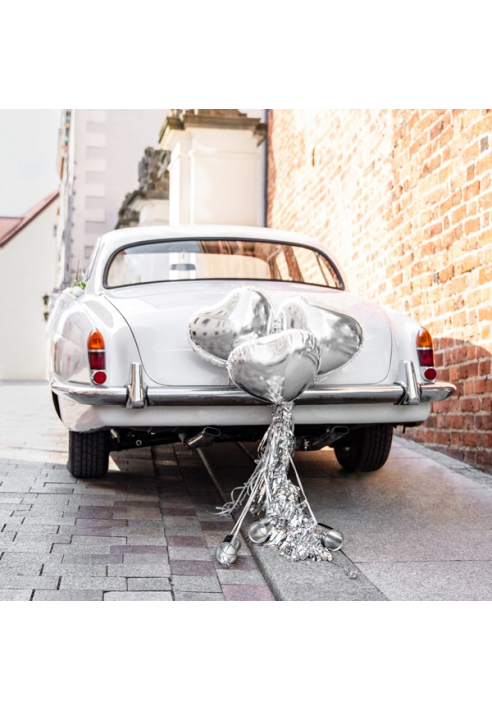 Kit de décoration de voiture Argenté ()