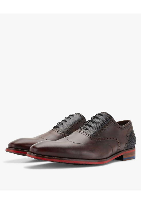 Floris van Bommel 19062/02 Marron ()