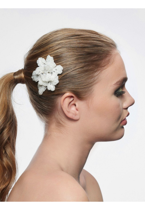 Poirier BB-249 Peigne Cheveux ()