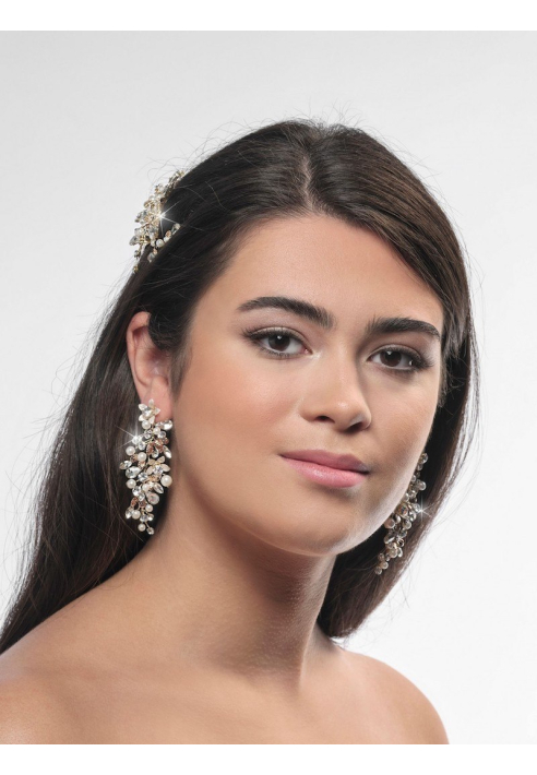 Poirier NC-1323 Boucles d'Oreilles Or ()