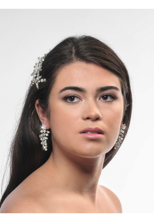 Poirier NC-1324 Boucles d'Oreilles Argent ()