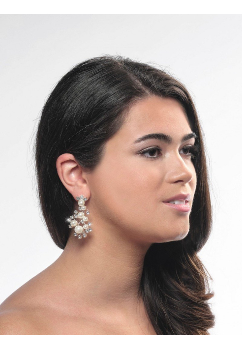 Poirier NC-1338 Boucles d'Oreilles Argent ()