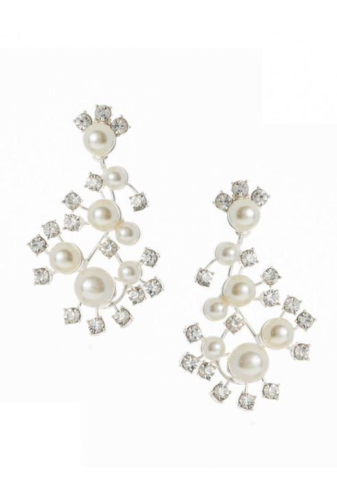 Poirier NC-1338 Boucles d'Oreilles Argent