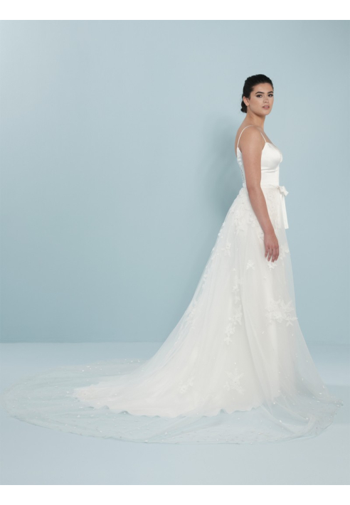 Poirier S312-250 Surjupe 