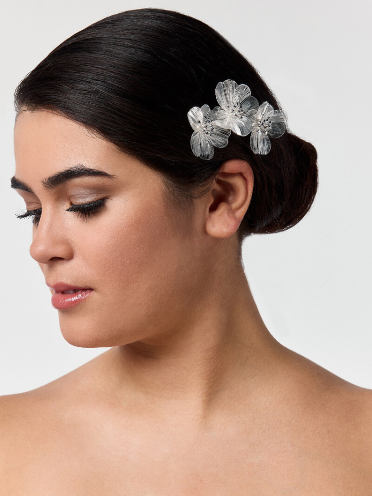 Poirier Peigne cheveux BB-75025 main product photo