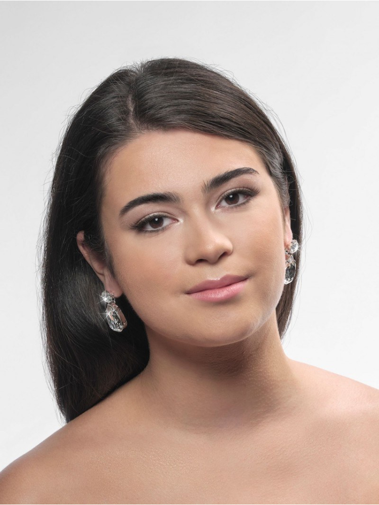 Poirier NC-1339 Boucles d'Oreilles Argent main product photo