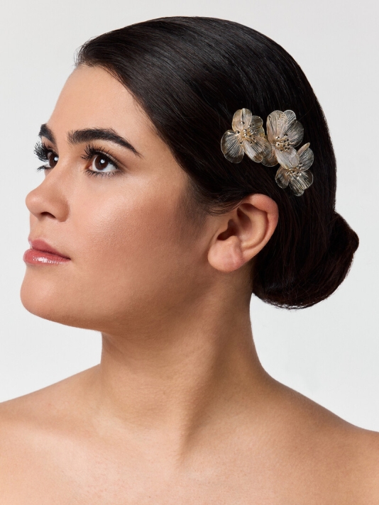 Poirier BB-75025 Peigne cheveux doré main product photo