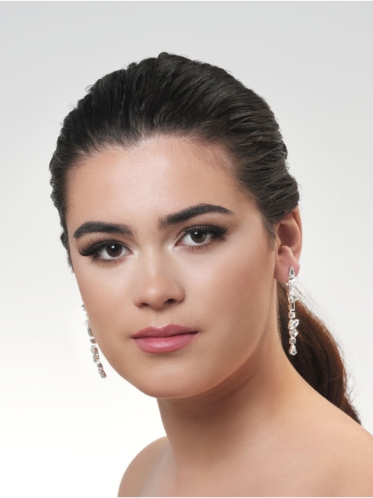 Poirier NC-1333 Boucles d'oreilles Argent  main product photo