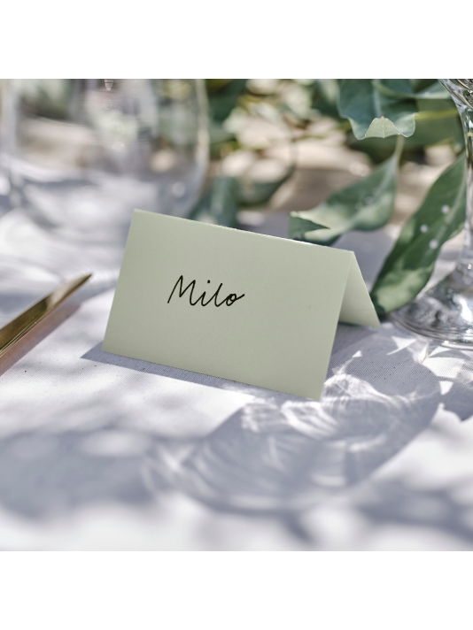 Ginger Ray SW-844 Sage Wedding Marque Places main product photo